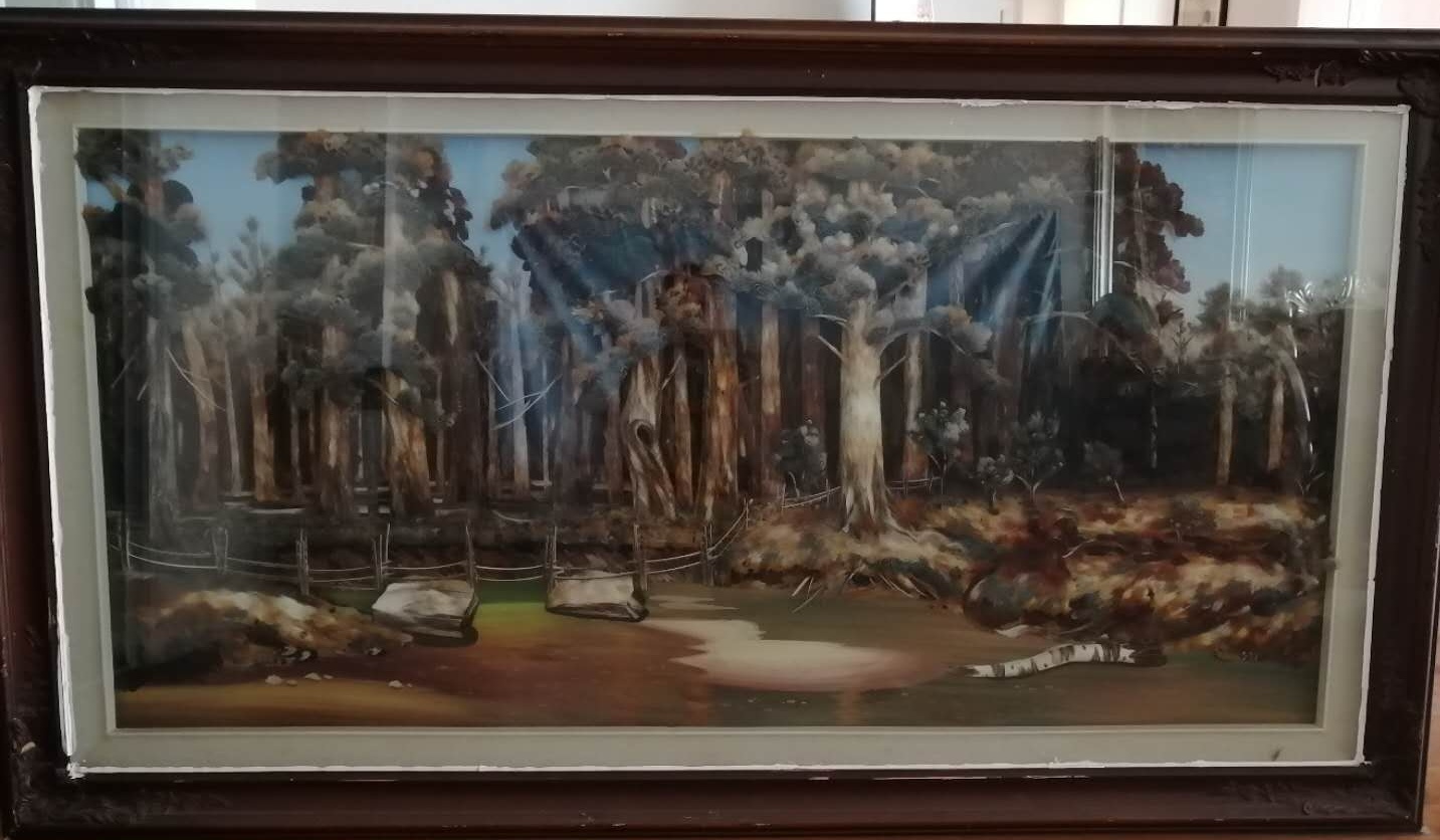 1605340918130670.jpg 羽毛画.jpg